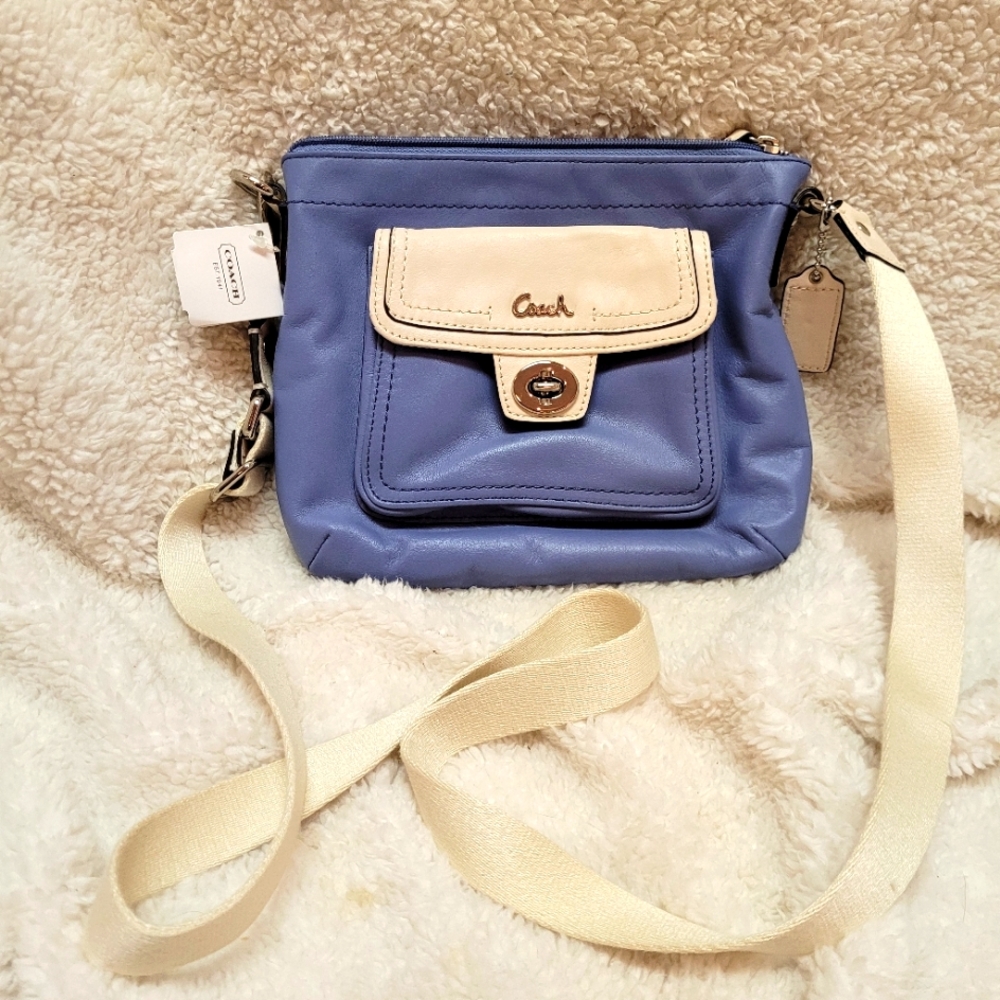 Petite Coach Handbag